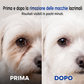 🔥Sconto 50% a tempo limitato! 👷‍♂️Spray ionico per animali domestici contro le macchie da lacrime