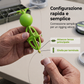 🎣💪 Sistema di pesca con cestino per esche "bottom-up" – il design intelligente che elimina i grovigli! 🚫🌀🐟✨