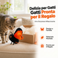 🔥 60% DI SCONTO – OFFERTA LIMITATA!🦋🐱Giocattolo Farfalla Intelligente con Ali Sbattenti – Giocattolo Interattivo per Gatti