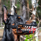 🎃50% DI SCONTO ORA! 🐶Museruola Halloween Realistica per Cani – Spaventosi Denti Insanguinati, Costume da Cane, Museruola Regolabile Divertente per Feste in Costume di Halloween