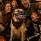 🎃50% DI SCONTO ORA! 🐶Museruola Halloween Realistica per Cani – Spaventosi Denti Insanguinati, Costume da Cane, Museruola Regolabile Divertente per Feste in Costume di Halloween