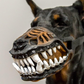 🎃50% DI SCONTO ORA! 🐶Museruola Halloween Realistica per Cani – Spaventosi Denti Insanguinati, Costume da Cane, Museruola Regolabile Divertente per Feste in Costume di Halloween