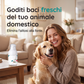 🐶 50% DI SCONTO ORA!Liquido per l'igiene dentale degli animali domestici senza bisogno di spazzolino